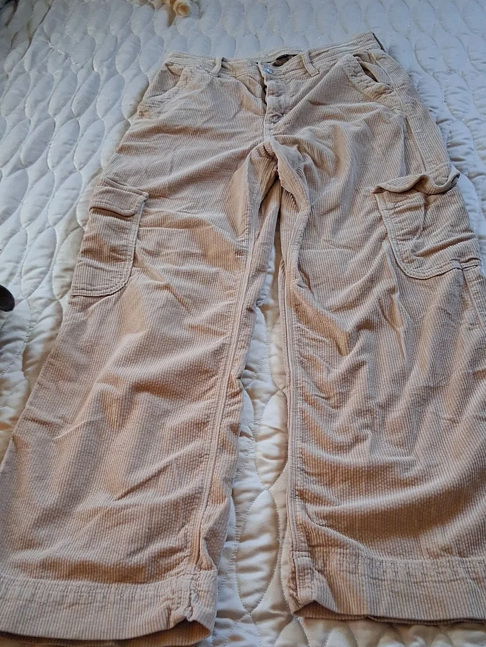 Corduroy Cargo Pants in Light Beige - Picture 1 of 9
